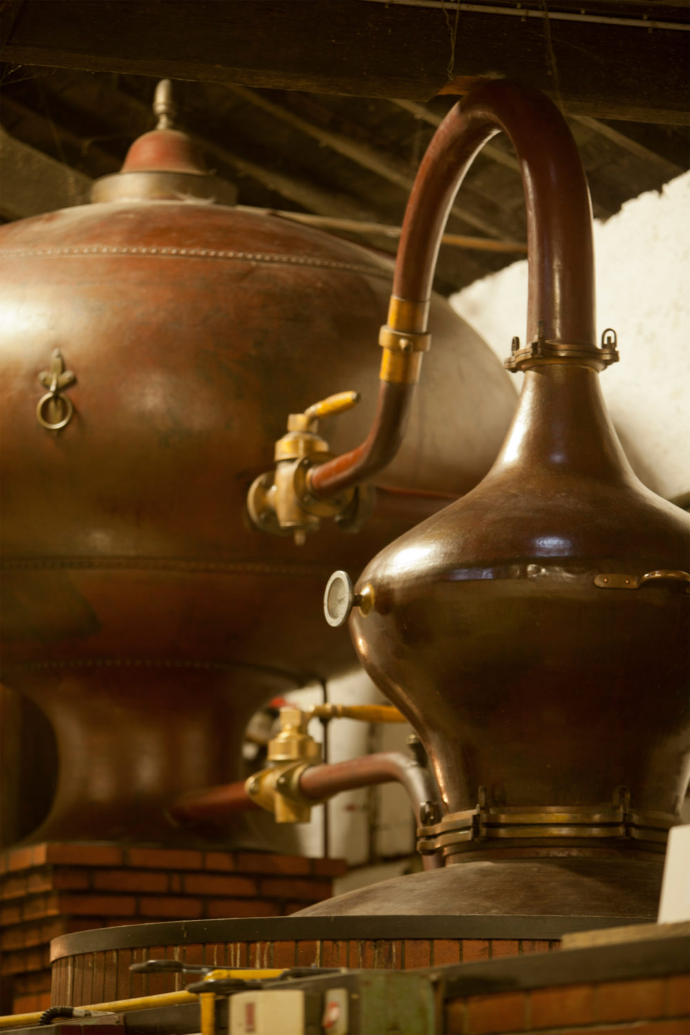 Cognac Process in Alembic