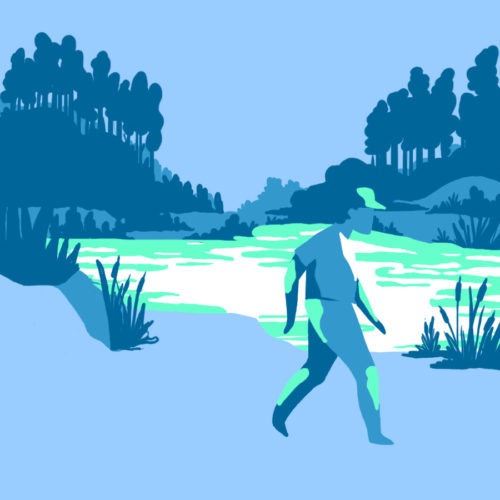 Illustration des étangs de Touvérac