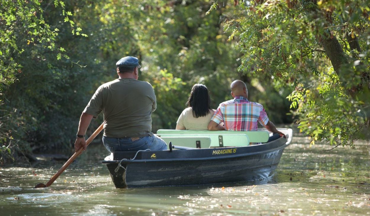boat-ride-swamp