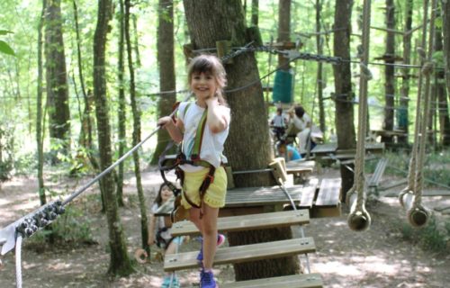 Parc-aventure-de-Fontdouce-Treeclimbing-